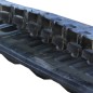 Oruga de Goma Accort Track 450x81Wx72